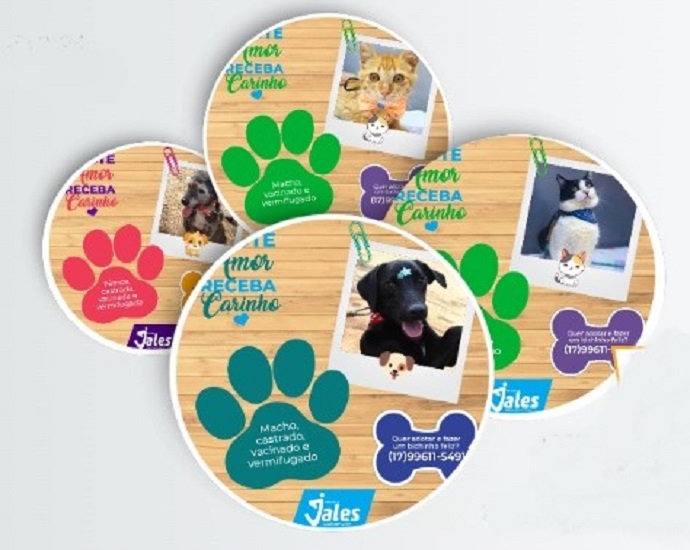FOFURA: Adote amor, receba carinho: Secretaria de Comunicação e Zoonoses lançam campanha de adoção de animais 